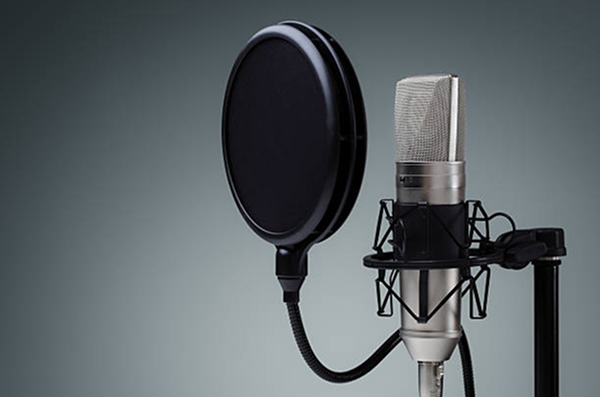 VOCALS